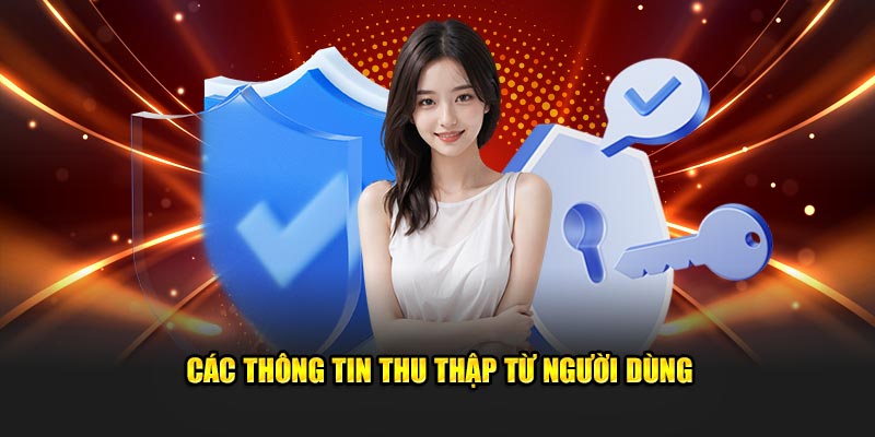 Dữ liệu được thu thập từ khách hàng