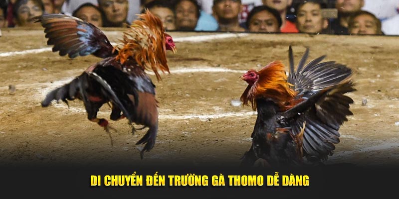 Di chuyển đến trường gà Thomo dễ dàng