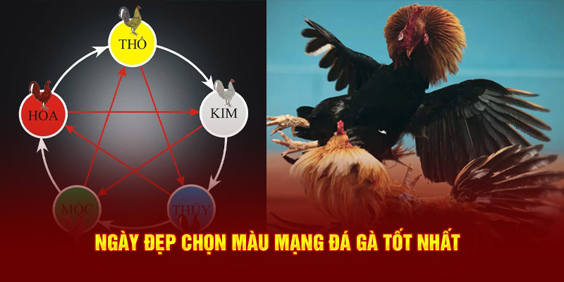 Ngày đẹp chọn màu mạng đá gà tốt nhất