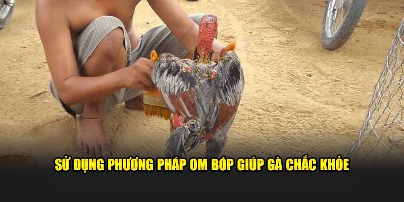 Sử dụng phương pháp om bóp giúp gà chắc khỏe