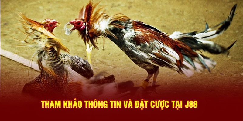 Tham khảo thông tin và đặt cược tại J88