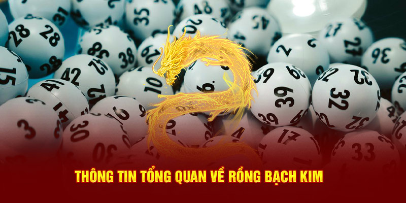 Thông tin tổng quan về phương thức soi cầu 