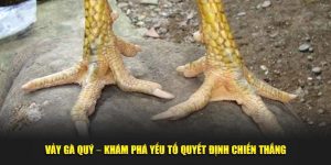 Vảy Gà Quý – Khám Phá Yếu Tố Quyết Định Chiến Thắng
